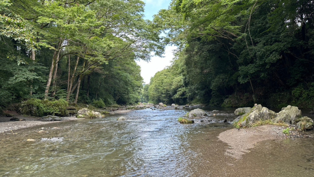 大自然の冷水風呂